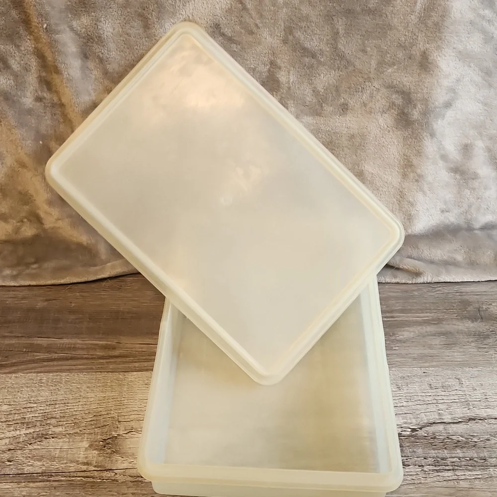 Vintage Tupperware Container